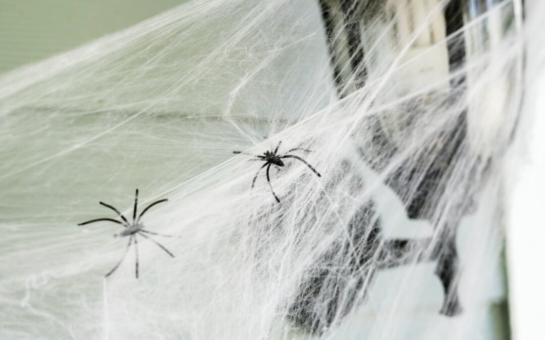 6 Eco-Friendly Tips to Keep Spiders Away from Your Home