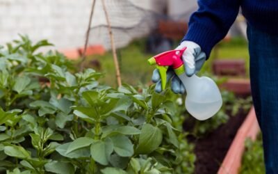 Do Leaves Cause Stains?